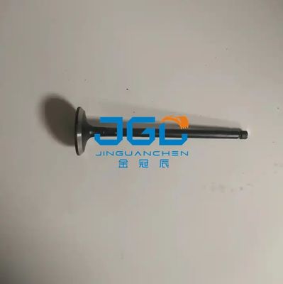 VHS137151733 βαλβίδα εξάτμισης εκσκαφέων για τη μηχανή J08E J05S